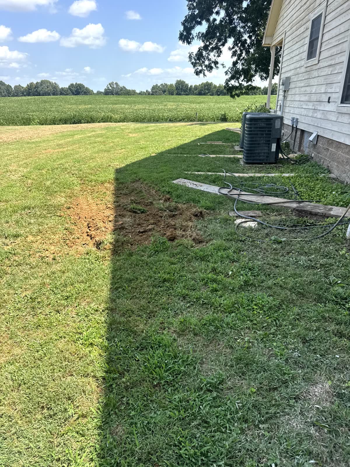 Yard left clean after septic service near Covington
