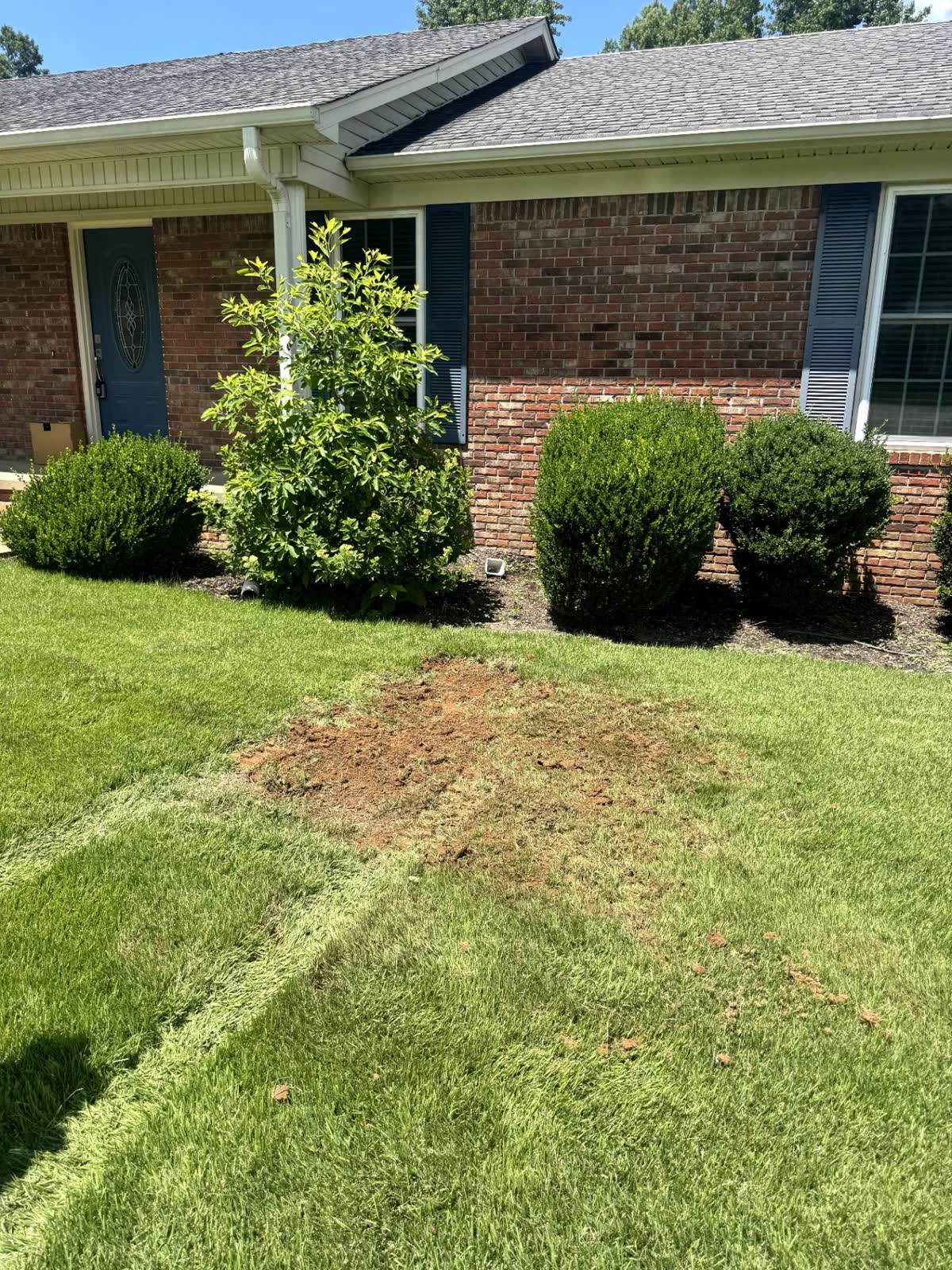 Restored yard after septic service